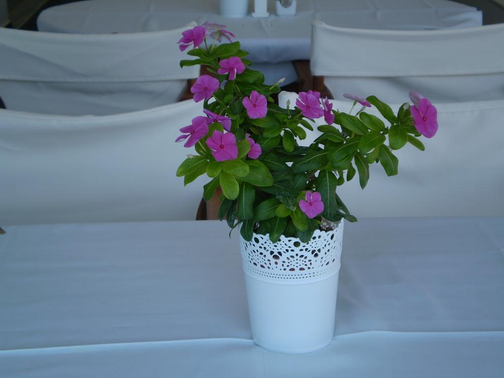 Athena Hotel Milopotamos  Екстер'єр фото