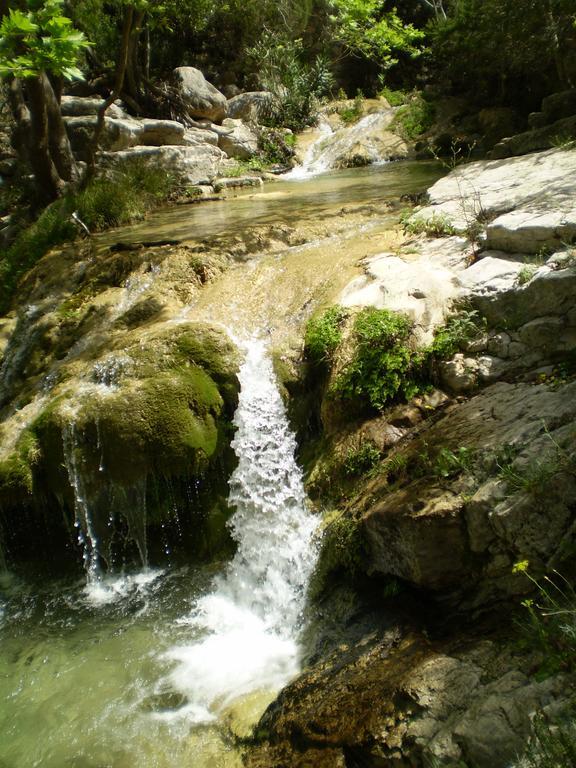 Athena Hotel Milopotamos  Екстер'єр фото